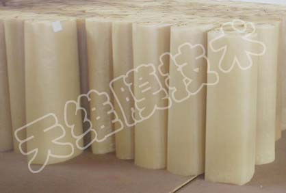 �Uɢ�B���Ĥ